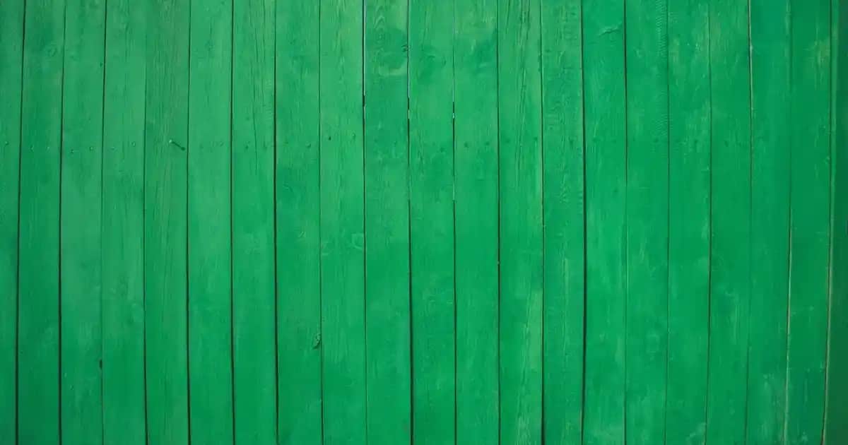 Kadın Spor Ayakkabıları Trendleri ve Seçim Kriterleri 2025 Yılı Modasına Uygun