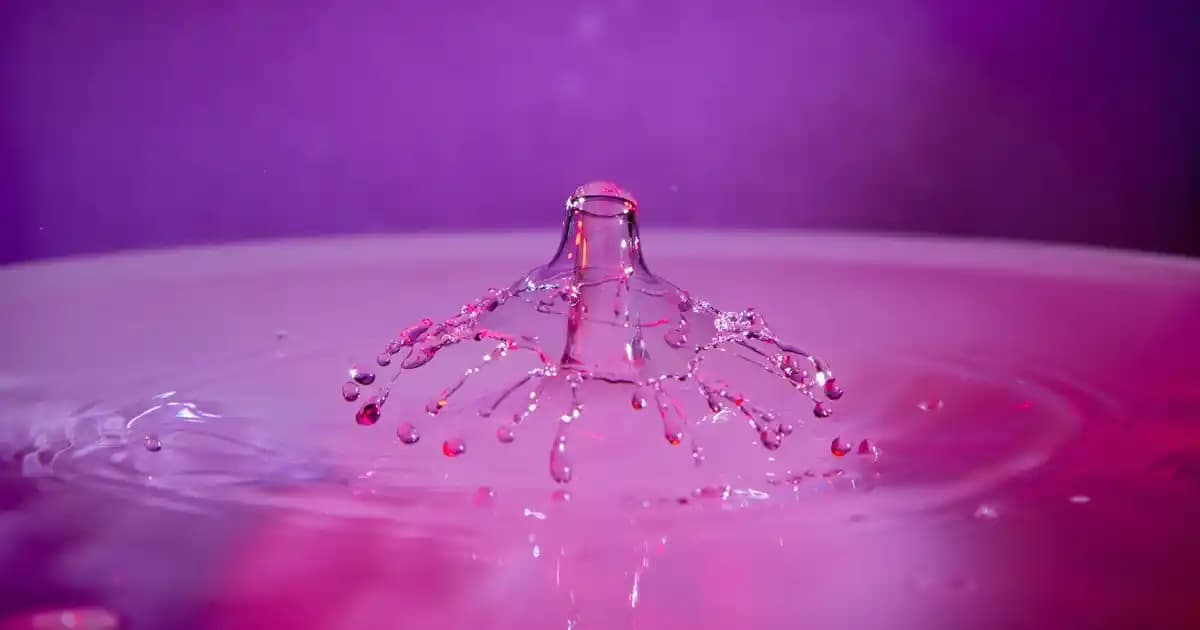 Kadın Tarz Kombinleri İçin Çanta ve Ayakkabı Seçimi Rehberi