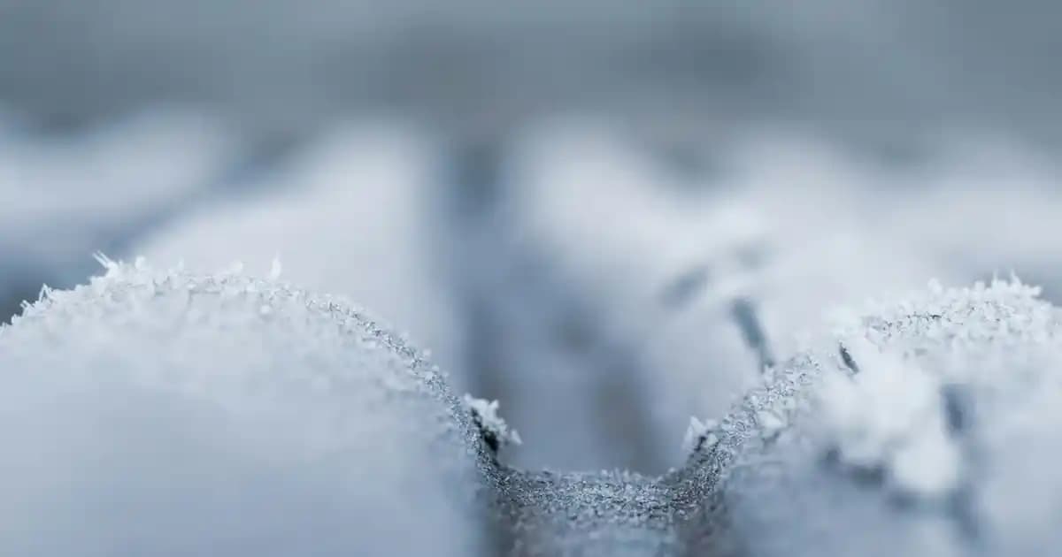 Kadın Tişört Modelleri ve Çanta Ayakkabı Kombinasyonlarıyla Şıklık Yakalayın