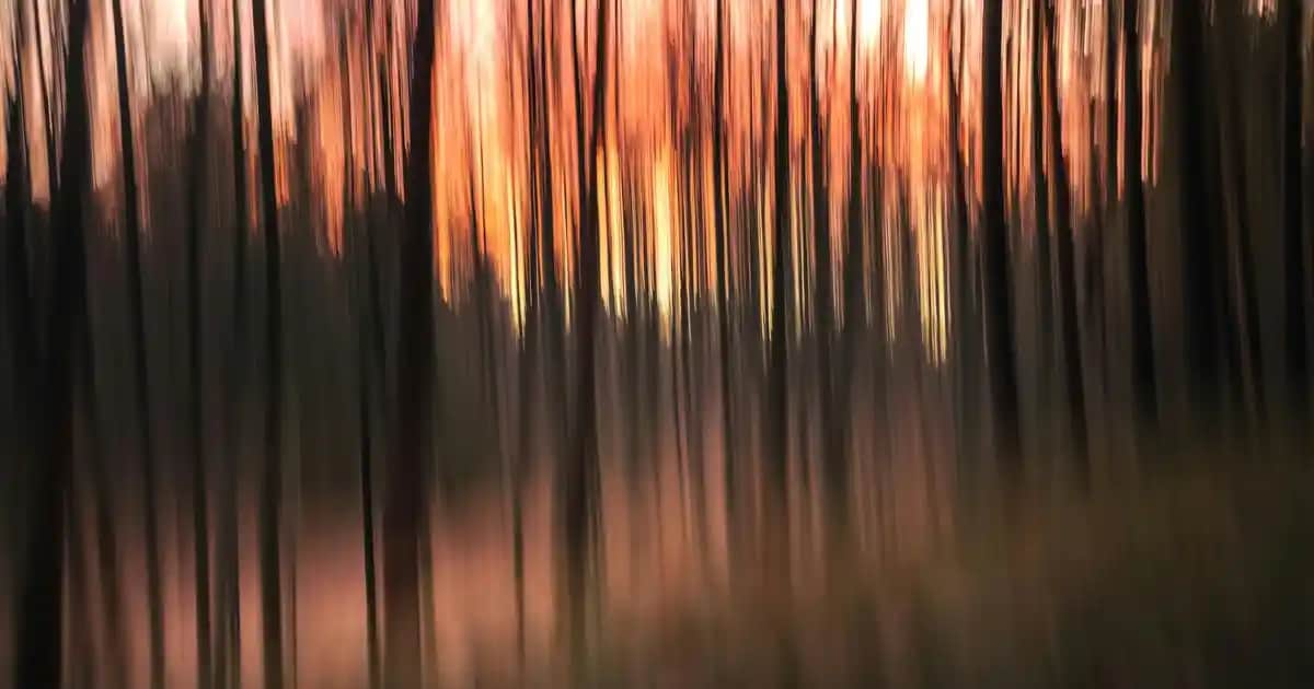 Kadın Tişörtleri ve Aksesuar Trendleri: Günlük Şıklık ve Rahatlığın Buluşması