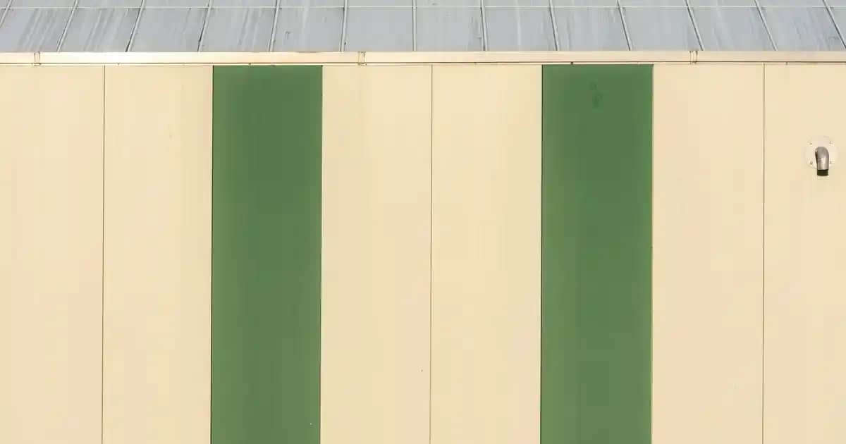 Kadınlar Günü ve Kadınlara Özel Sözler: Güç ve Zarafetin Anlamlı Kutlaması