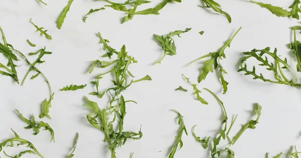 Kadınlar İçin Adidas Omuz Çantası Modelleri ve Kullanım İpuçları