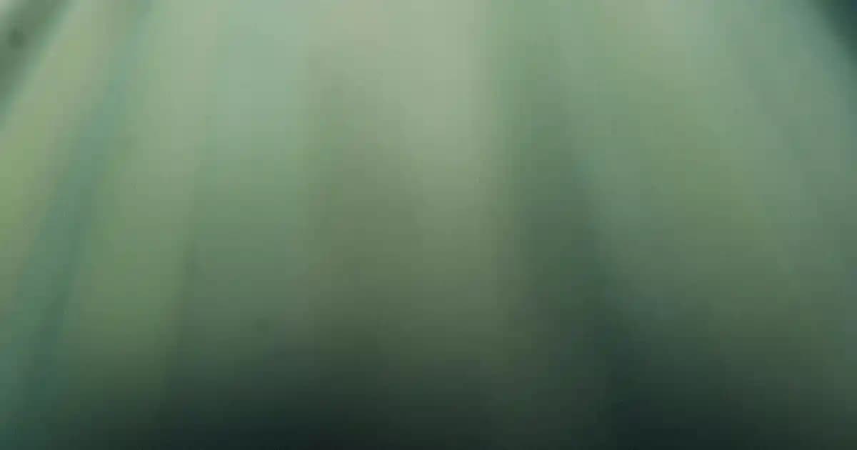 Kadınlar İçin Beyaz Pantolon Modelleri ve Kombin Önerileri 2024