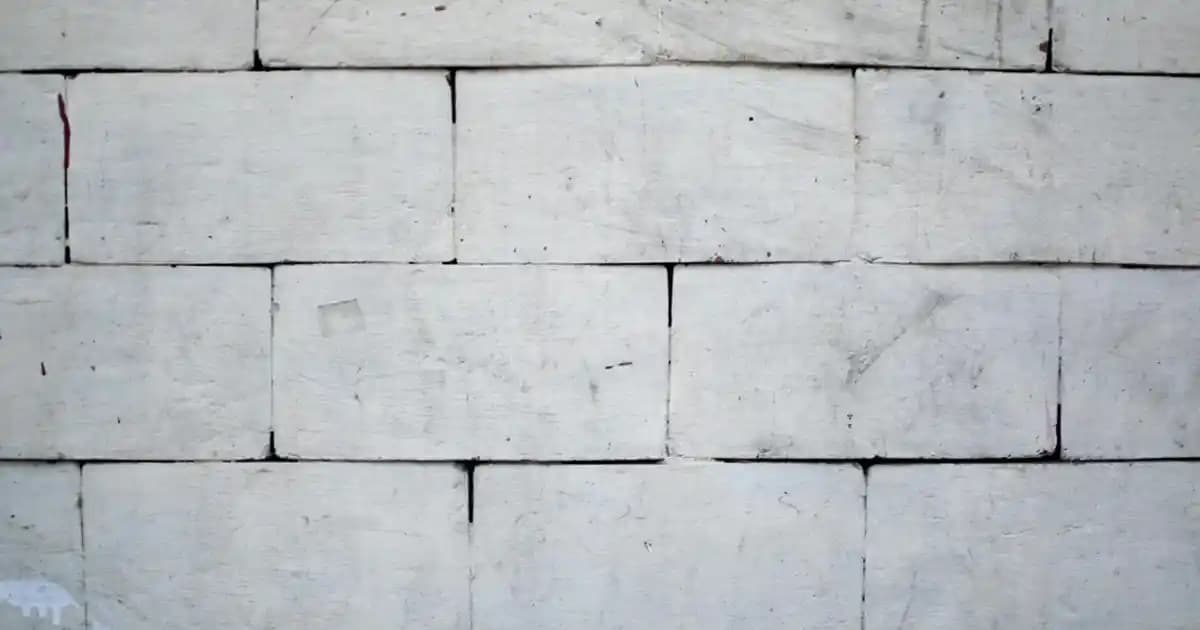 Kadınlar İçin Converse All Star Ayakkabıları: Stil ve Konforun Buluşma Noktası