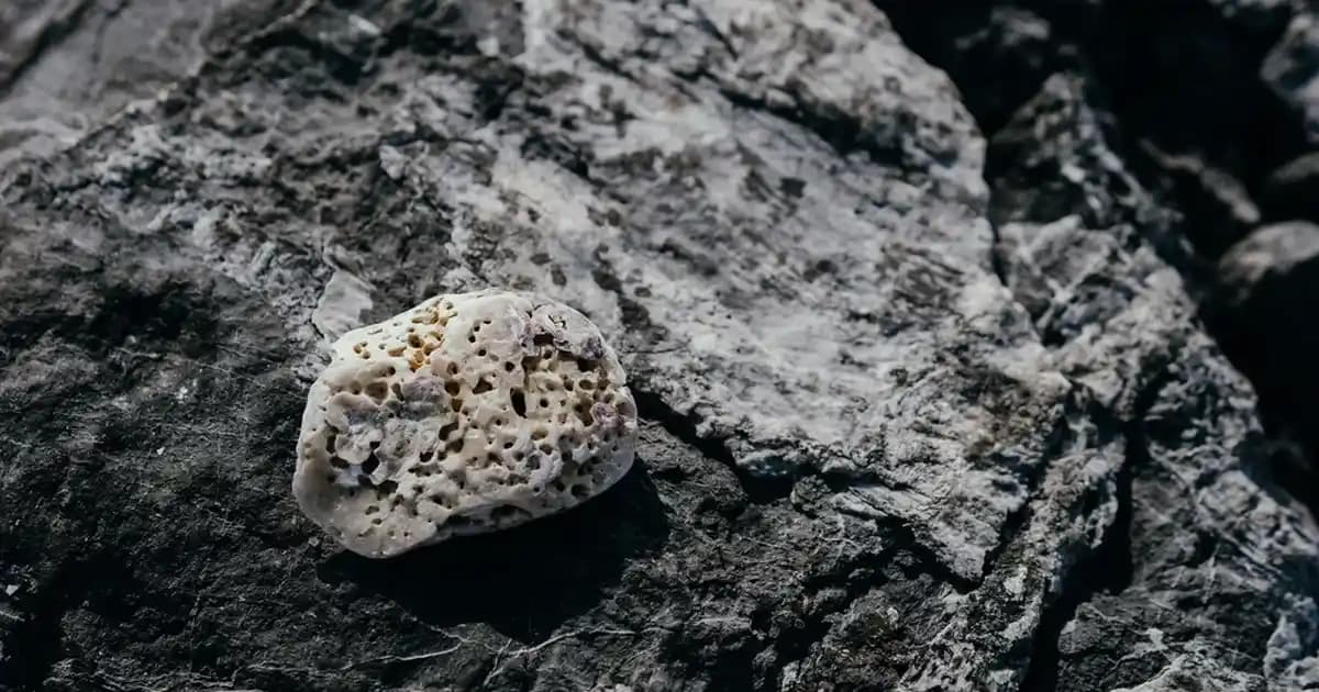 Kadınlar İçin En Güzel Çanta ve Ayakkabı Hediye Fikirleri ve Seçim Rehberi