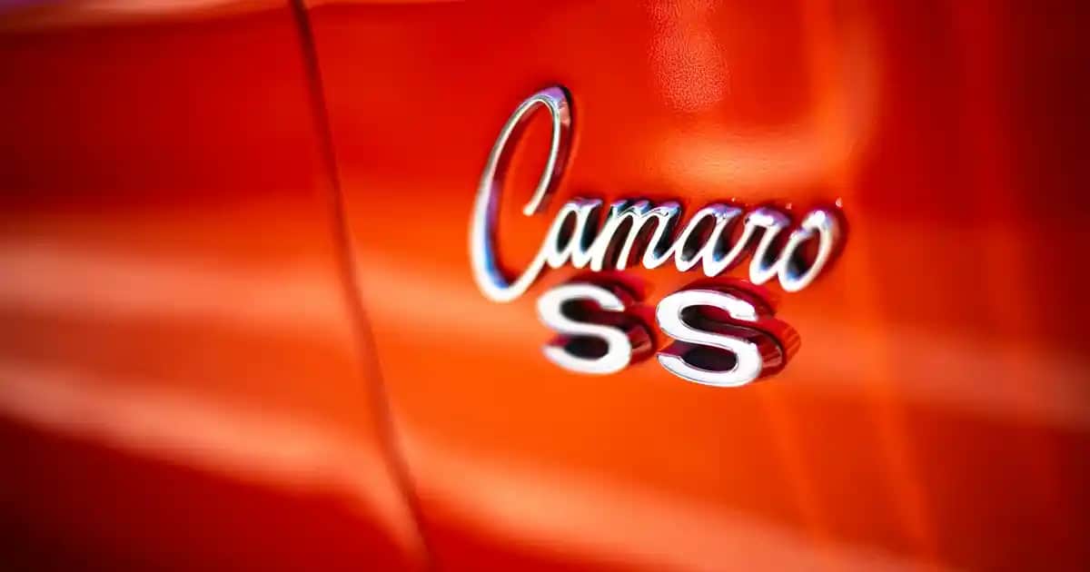 Kadınlar İçin En Güzel Hediye Seçenekleri: Çanta ve Ayakkabı Trendleri ve Tavsiyeleri