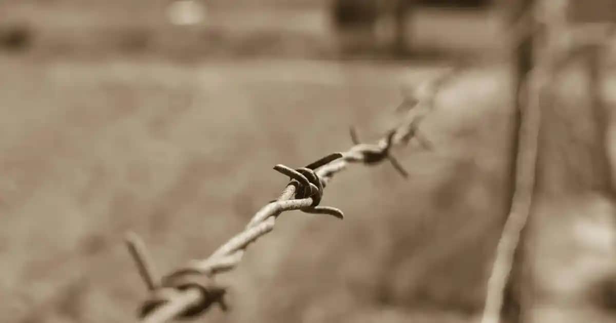 Kadınlar İçin Gömlek ve Pantolon Kombinleri: Günlük ve Ofis Şıklığı İçin Stil Önerileri