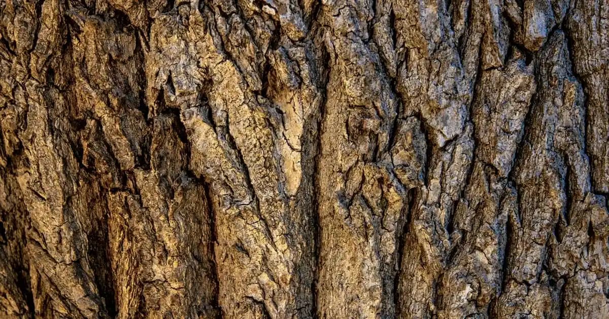 Kadınlar İçin Gömlek ve Pantolon Kombinleri: Şıklık ve Rahatlığın Mükemmel Uyumu