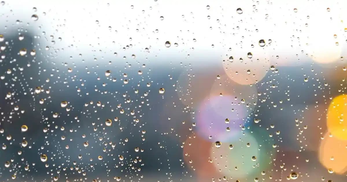 Kadınlar İçin Hediye Seçiminde Çanta ve Ayakkabının Önemi ve Trendleri