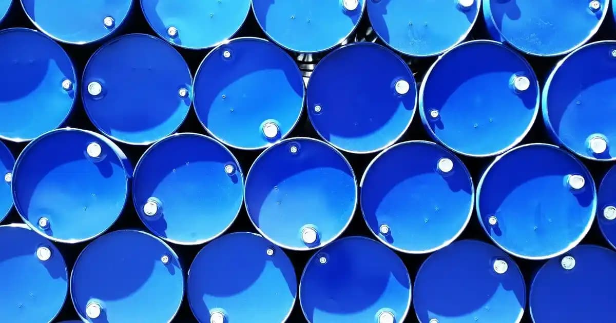 Kadınlar İçin Modern ve Konforlu Air Jordan 1 Elevate Low Ayakkabılar Rehberi