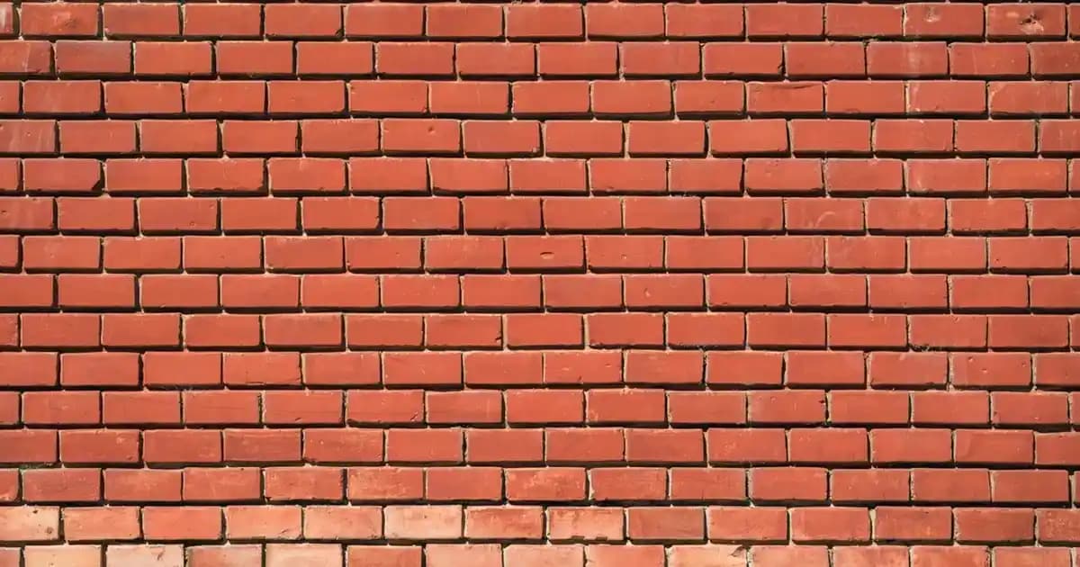 Kadınlar İçin Puma Spor Ayakkabıları: Modayı ve Konforu Bir Arada Sunan Seçenekler