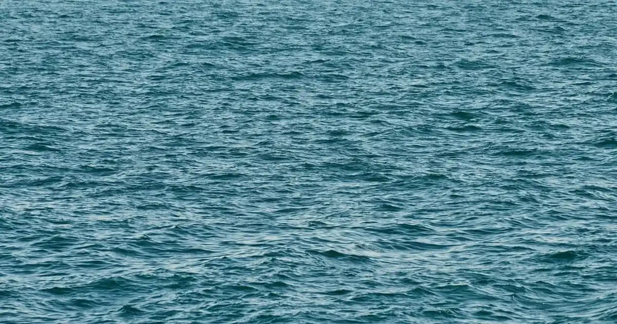 Kadınlar İçin PUMA Sweatshirt Koleksiyonu: Şıklık ve Konforun Buluşma Noktası