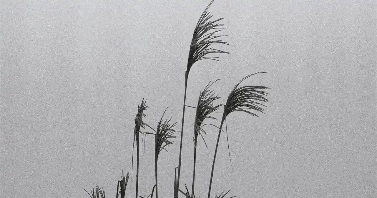 Kadınlar İçin Sarı Mont Modelleri ve Stil İpuçları Güncel Kış Trendleri