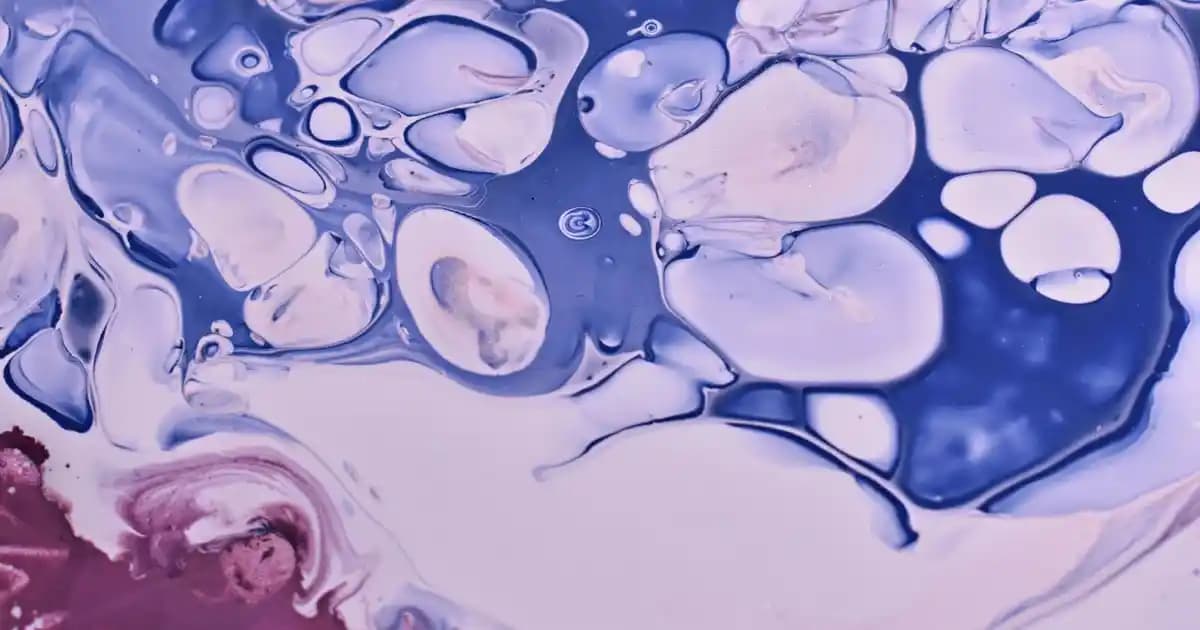 Kadınlar İçin Spor Ayakkabı Seçimi ve Güncel Trendler Hakkında Bilgi