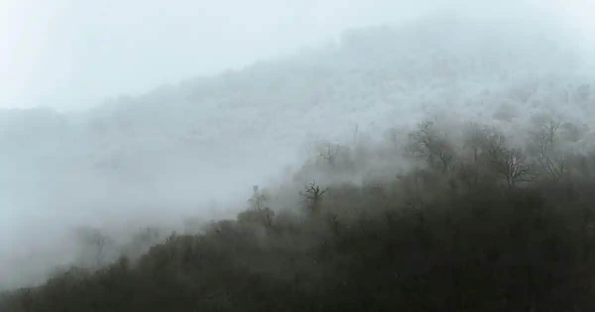 Kadınlar İçin Takım Elbise Altına Uygun Ayakkabı Seçenekleri ve Uyum İpuçları