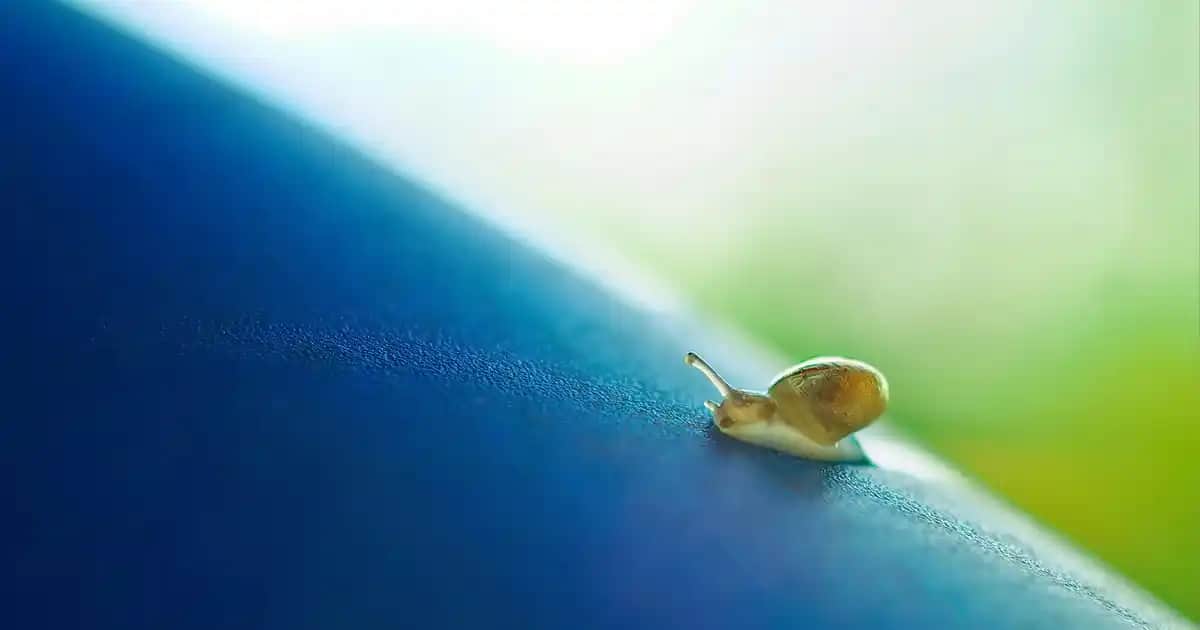 Kadınlara Özel Hediye Seçenekleri: Şıklık ve Anlam Bir Arada