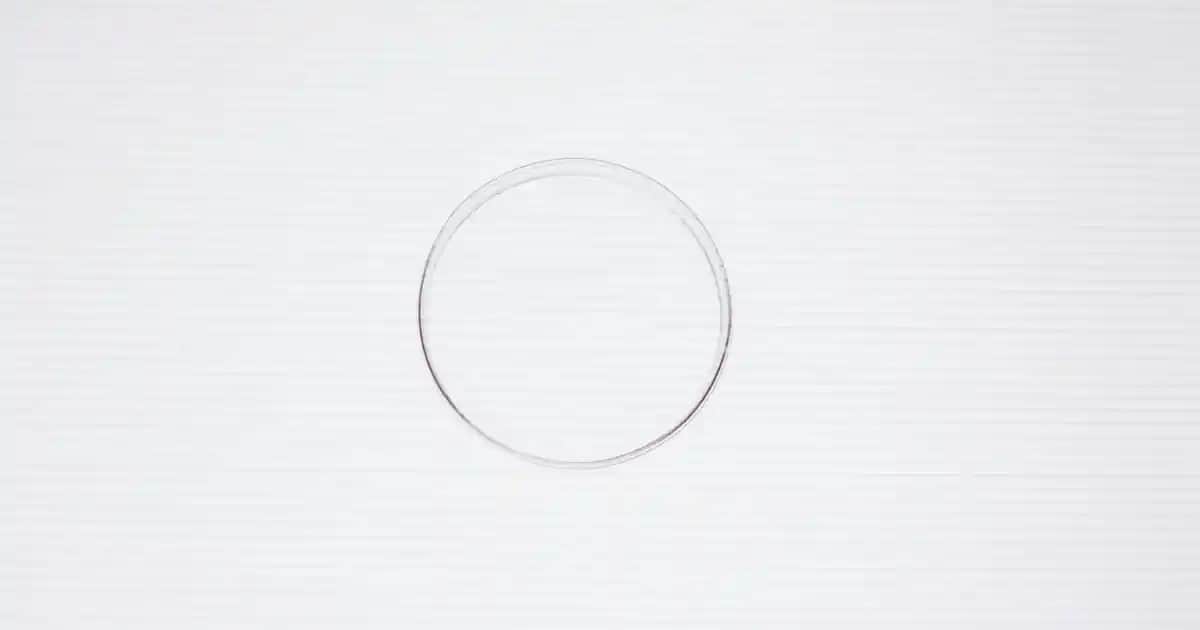 Kağıt İp Çanta Fiyatları ve Modaya Uygun Seçenekler Rehberi