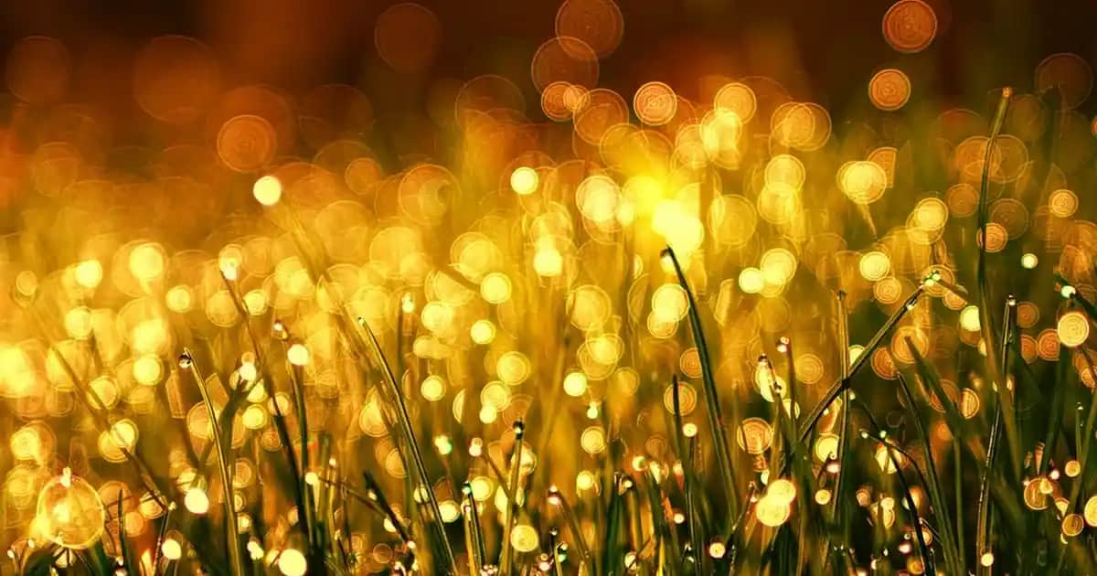 Kahvaltıya Giderken Giyim ve Aksesuar Seçenekleriyle Stil Rehberi