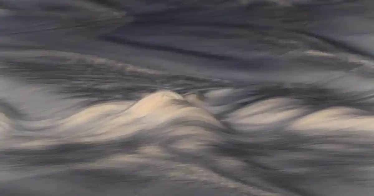 Kahverengi Erkek Blazer Ceket Kombinleri ve Stil İpuçları Rehberi