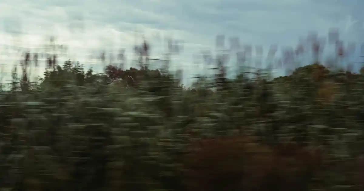 Kahverengi Günlük Erkek Ayakkabıları: Şıklık ve Konforun Modern Buluşması