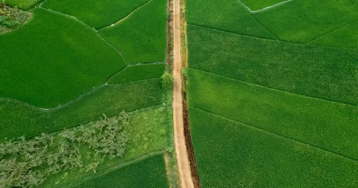 Kahverengi Kanvas Pantolonlar İçin En İyi Kombinasyon ve Stil Tavsiyeleri