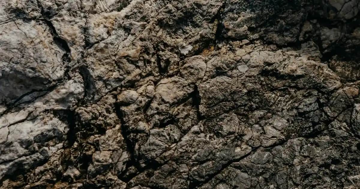 Kahverengi Tişörtlerle Erkekler İçin Şık ve Çok Yönlü Kombin Rehberi