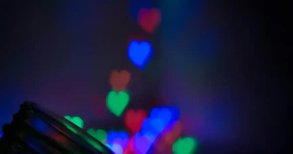 Kaliteli Kadın Giyim Markaları ve Tarzınıza Uygun Seçenekler Rehberi