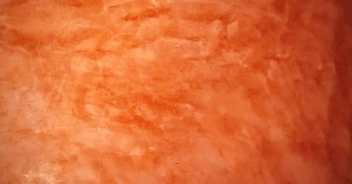 Kartlık Cüzdan Nedir ve Günümüzde En Popüler Güvenli ve Şık Seçenekler