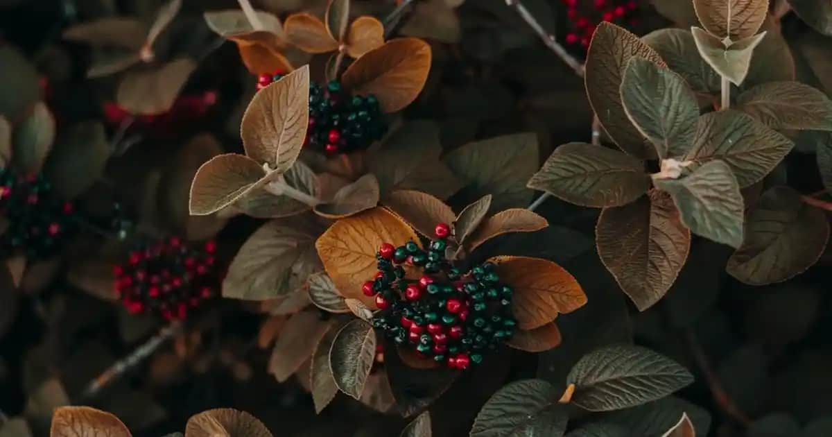 Keten ve Kot Pantolonlar Erkek Modasında Rahatlık ve Şıklığın Buluşması