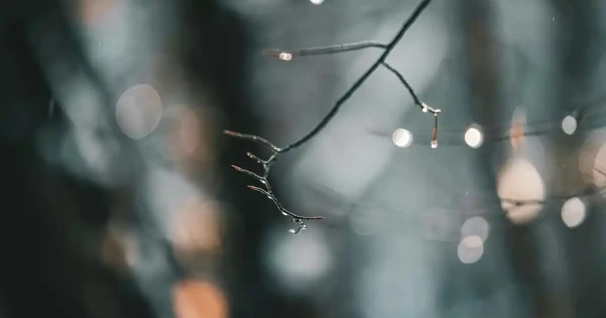 Kısa Kollu Gömlek Kombinleri: Yaz ve Günlük Şıklık İçin Stil Önerileri