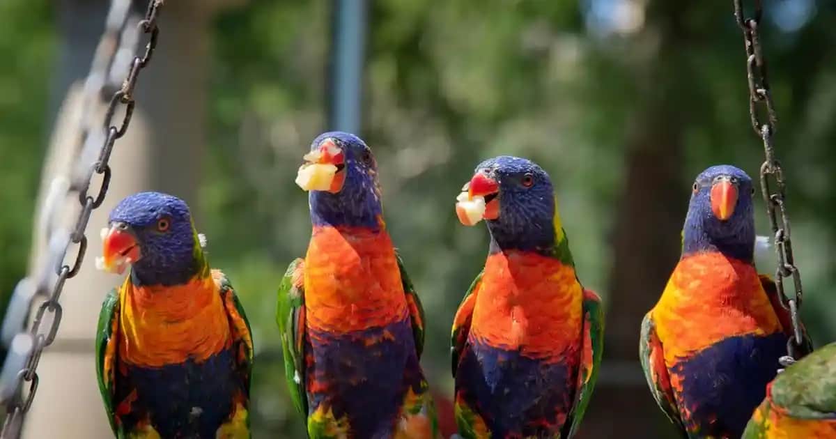 Kişiye Özel Telefon Kılıfı Tasarımı Trendleri ve Fikirleri Rehberi