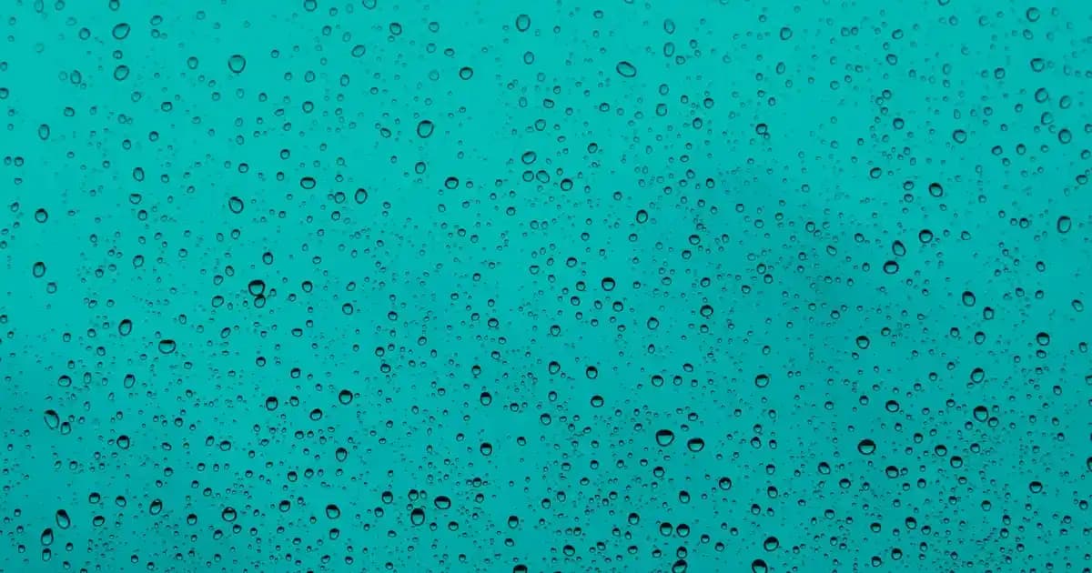 Kışlık Hırka Modelleri ve Trendler: Sıcak ve Şık Giyim Seçenekleri