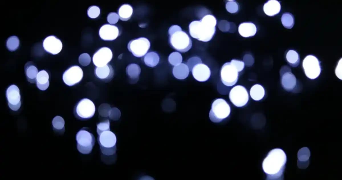 Kışlık Sweatshirtlerle Şıklık ve Konforu Bir Arada Yakalayın: Uygun Çanta ve Ayakkabı Seçenekleri