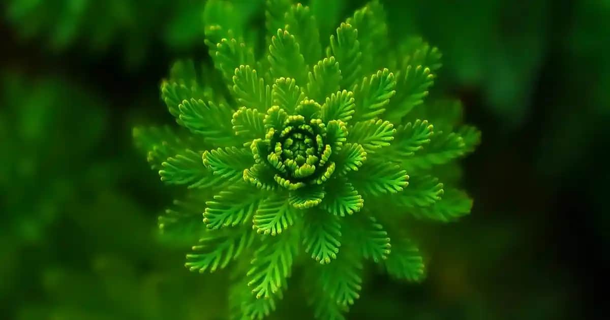 Kız Çocukları İçin En Güzel Karne Hediyesi Çanta ve Ayakkabı Seçenekleri 2023