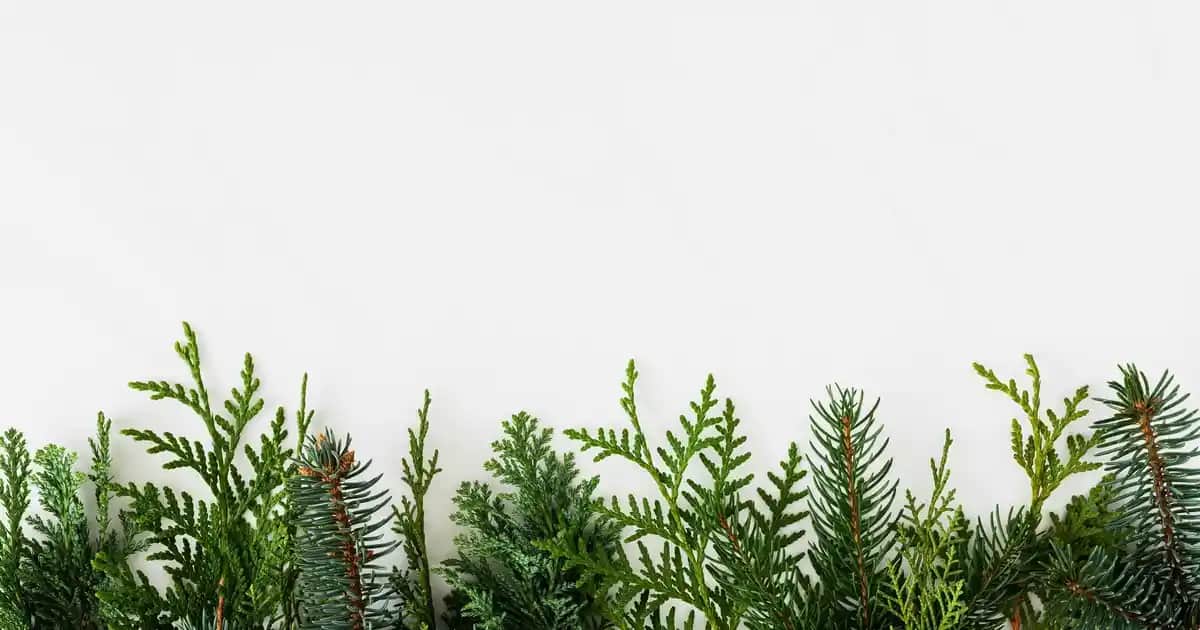 Kot Gömlek Altına Uygun Pantolon Renkleri ve Stil Kombinasyonları Rehberi