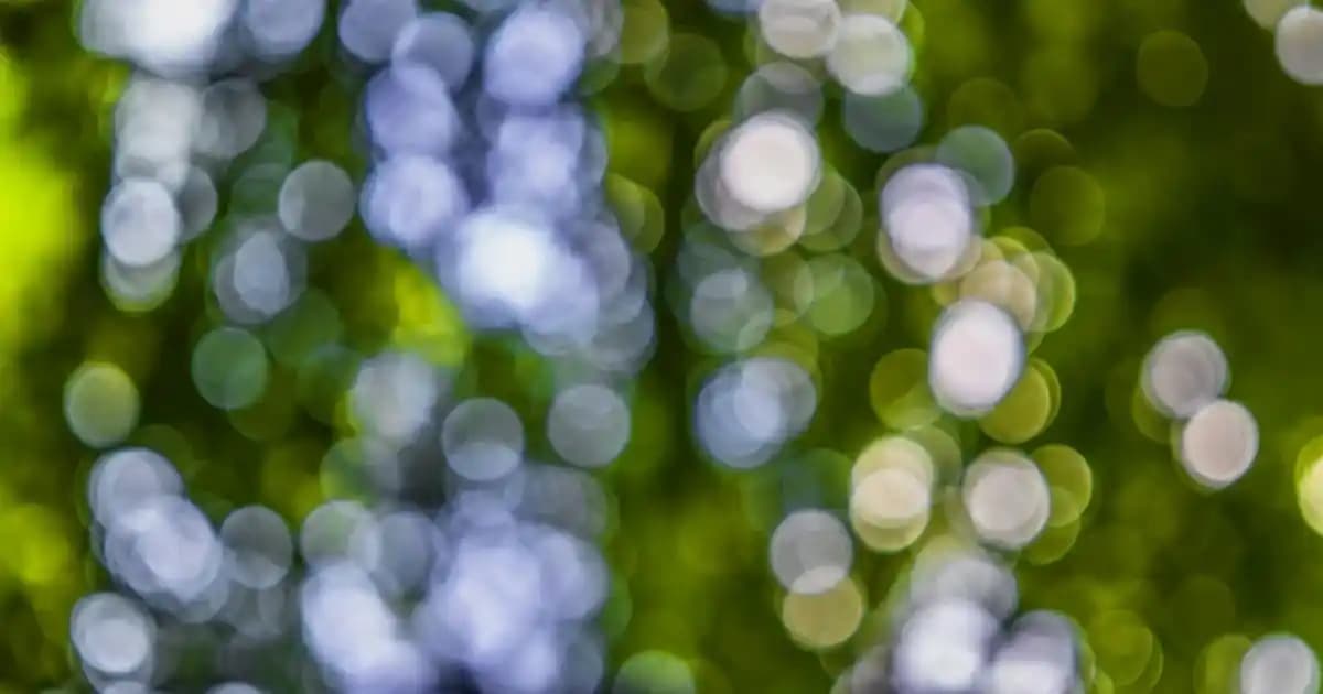 Krem Erkek Ceketleri: Modeller, Kombinler ve Stil İpuçlarıyla Şıklık Yaratın