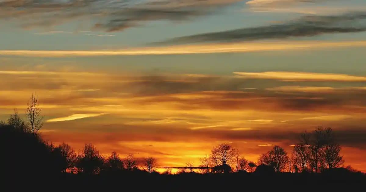 Kupa Bardakların Popülerliği ve Kişiliği Yansıtan Eğlenceli Tasarımlar