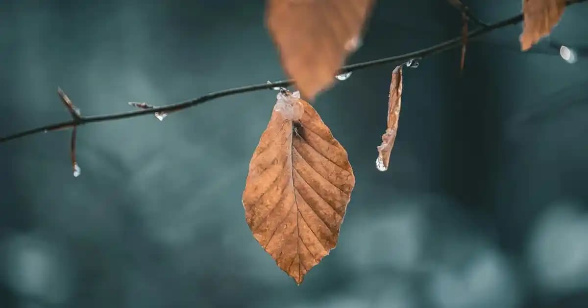 Lacivert Boğazlı Kazaklar Kadın Modasında Şıklık ve Konforun Buluştuğu Parçalar
