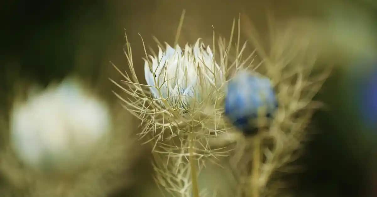 Lacivert Gömlek Kombinleri ve Uygun Çanta-Ayakkabı Seçenekleri Rehberi