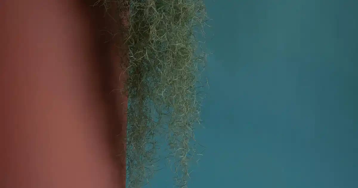 Lacivert Kadın Ayakkabıları: Şıklık ve Konforu Bir Arada Sunan Modeller