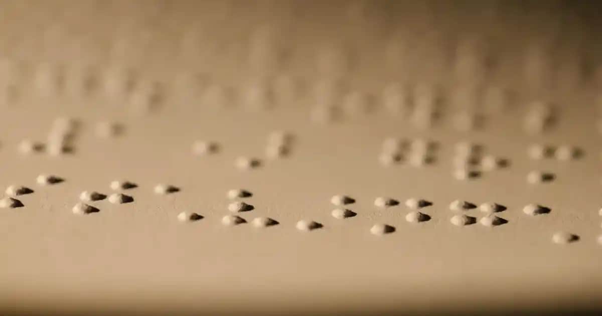 Lacivert Terlik Modelleri ve Seçim İpuçlarıyla Stil ve Konforu Yakalayın