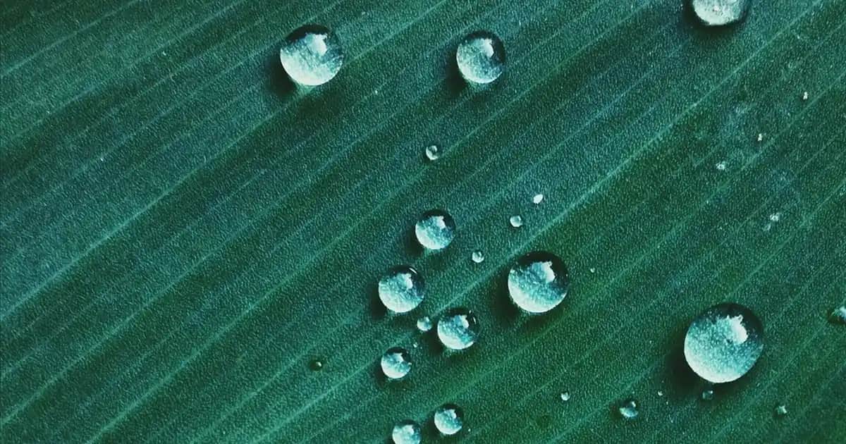 Loafer Ayakkabı Nedir? Rahatlık ve Şıklığın Buluştuğu Moda Terimi Tanımı