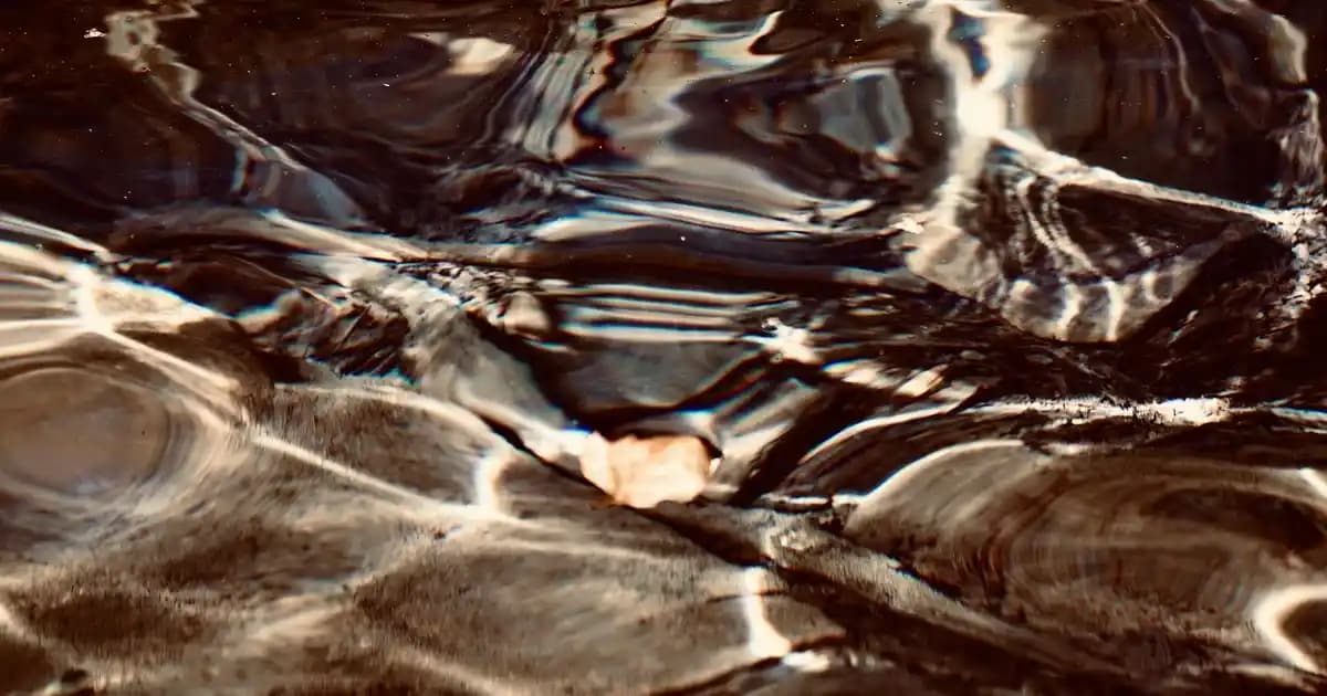 Lüfian Ayakkabıları: Kalite, Şıklık ve Konfor Sunan Modern Tasarımlar