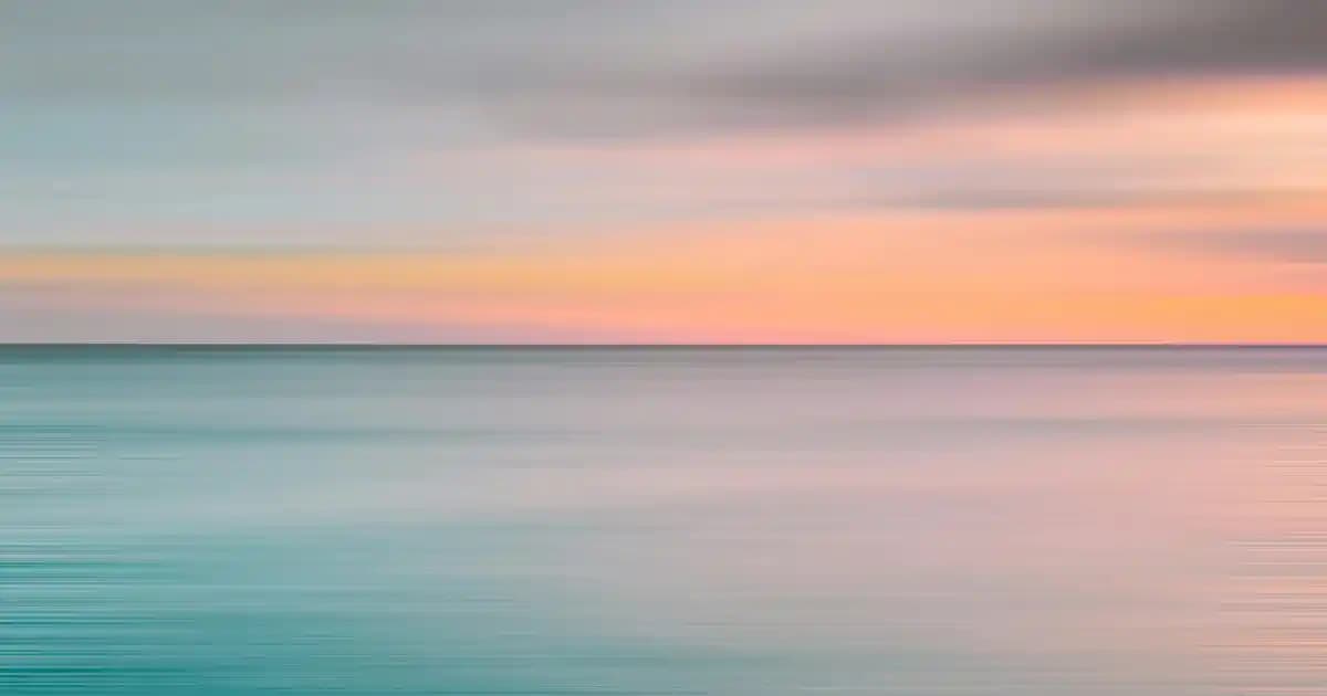 Lumberjack Bayan Spor Ayakkabılarıyla Güncel Moda ve Konforun Buluşması