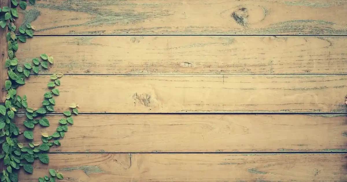 Lumberjack Castello Ayakkabıları: Doğadan İlham Alan Şıklık ve Dayanıklılık