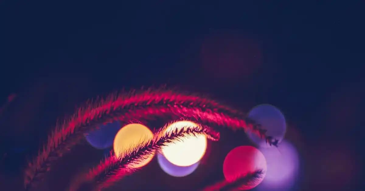 Marmara Forum Ayakkabı Mağazaları Güncel Trendler ve Çeşitli Seçenekler Hakkında Bilgi