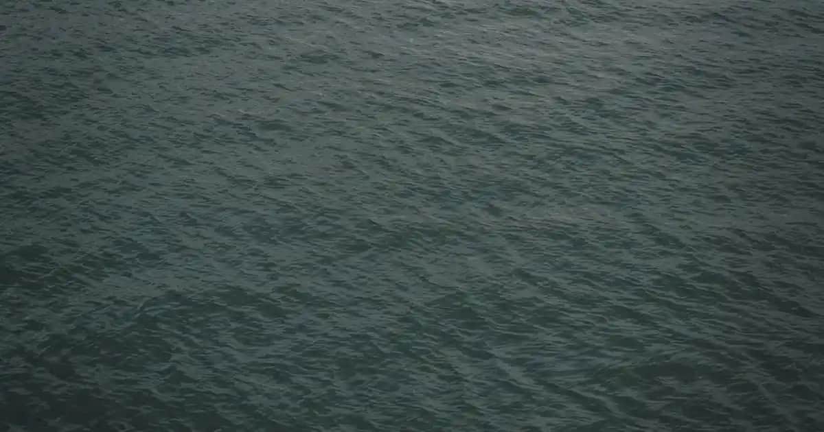 Merrell Gore-Tex Ayakkabılar: Dayanıklı ve Konforlu Outdoor ve Günlük Kullanım Ayakkabıları