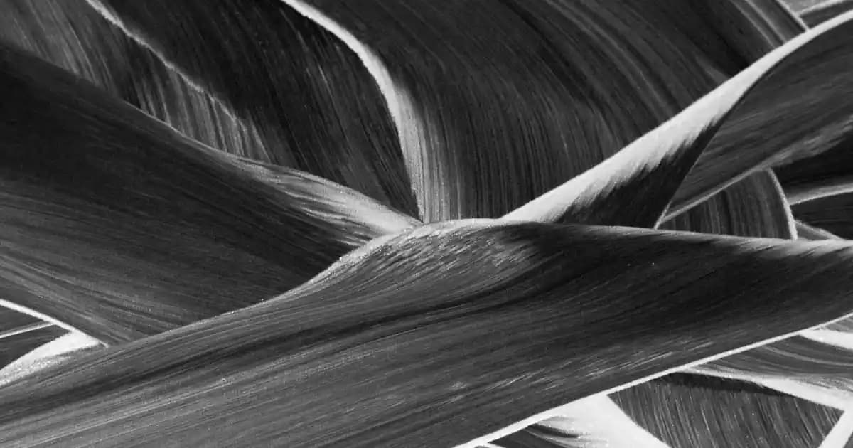 Mor Polo Yaka Tişörtler Erkekler İçin Şıklık ve Rahatlık Sunan En İyi Seçenekler