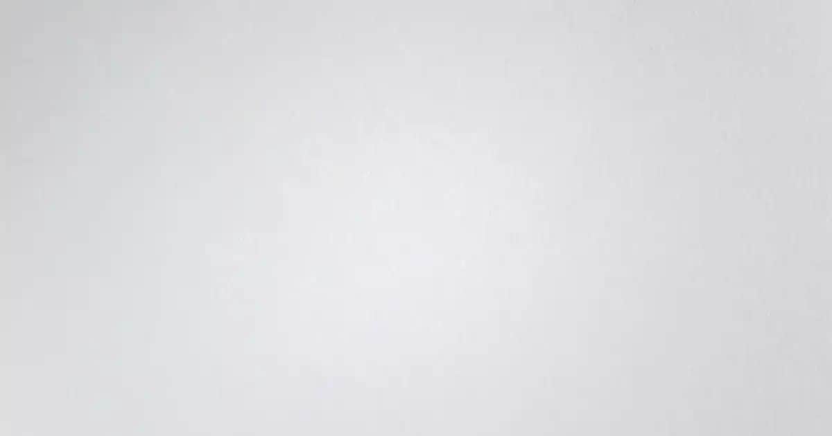 Mor Renk ile Uyumlu Renkler ve Çanta Ayakkabı Kombinleri Rehberi