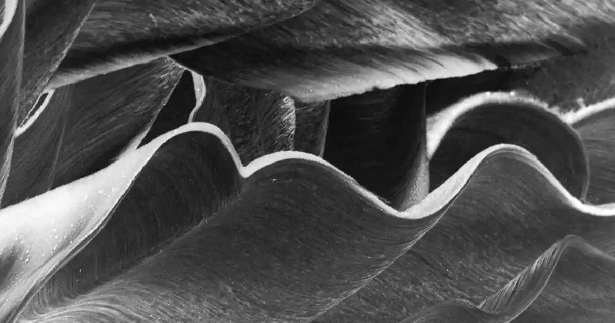 Mor Renk ve Uyumlu Renkler: Çanta ve Ayakkabılarda Stil Rehberi